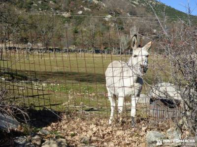 Cañadas, molinos del Río Perales; tiendas senderismo sendero verde para hacer amistades trekking e